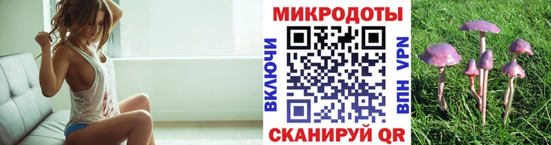 shop формула Калуга Галлюциногенные грибы MAGIC MUSHROOMS как найти